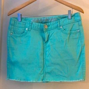 Express Mint Green Skirt